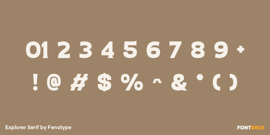 Explorer Serif Font Poster #4