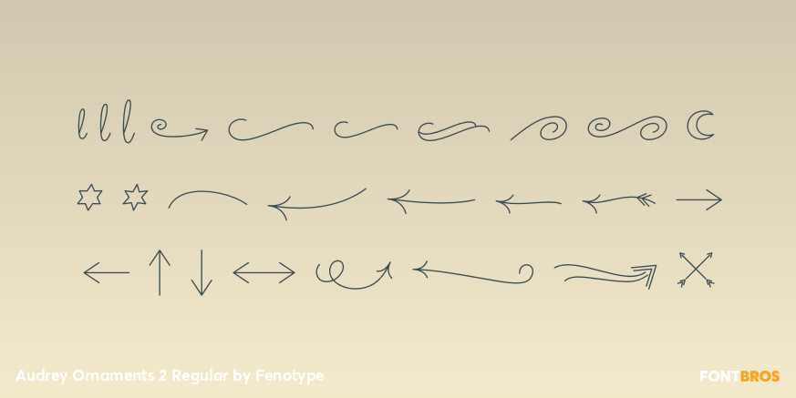 Audrey Ornaments 2 Regular Font Poster #2