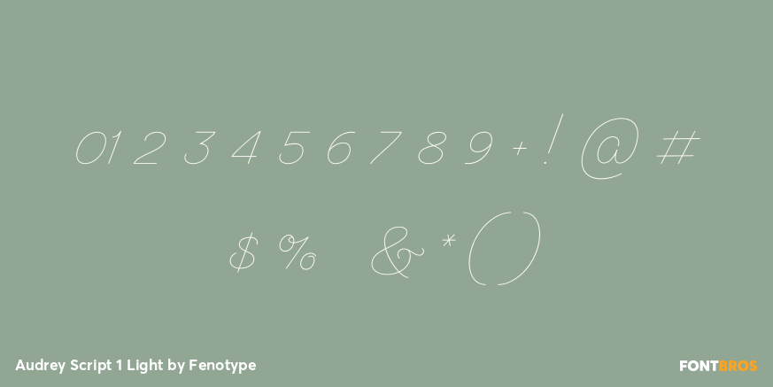 Audrey Script 1 Light Font Poster #4