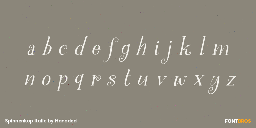 Spinnenkop Italic Font Poster #3