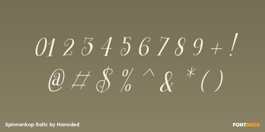 Spinnenkop Italic Font Poster #4