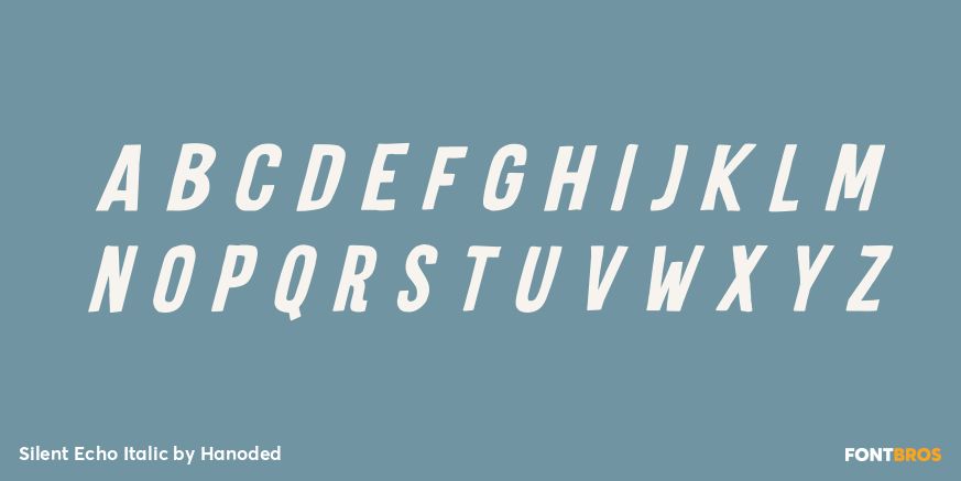 Silent Echo Italic Font Poster #3