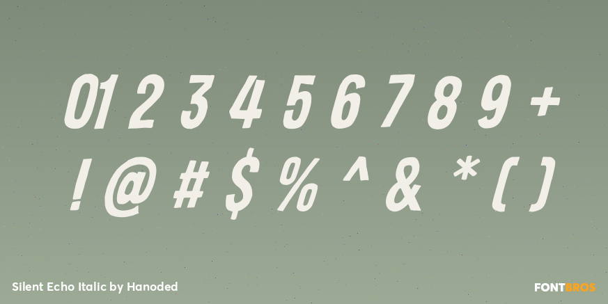 Silent Echo Italic Font Poster #4