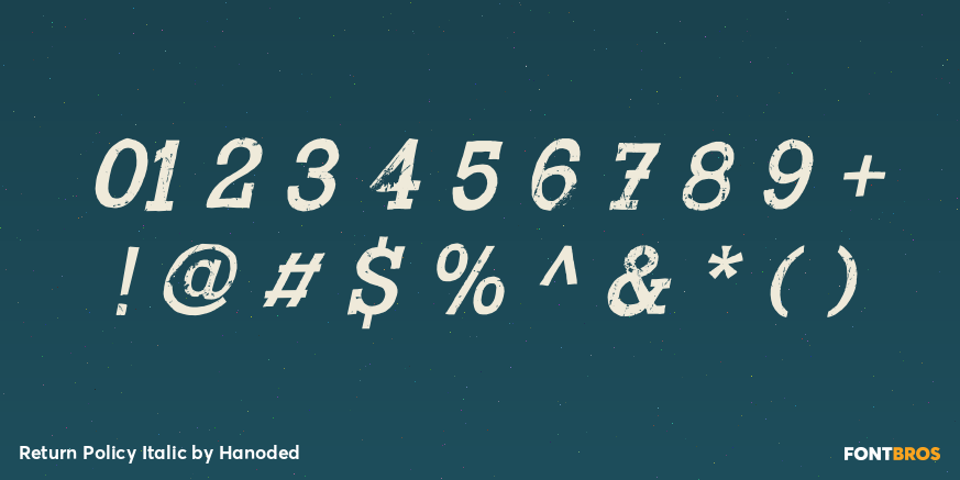 Return Policy Italic Font Poster #4