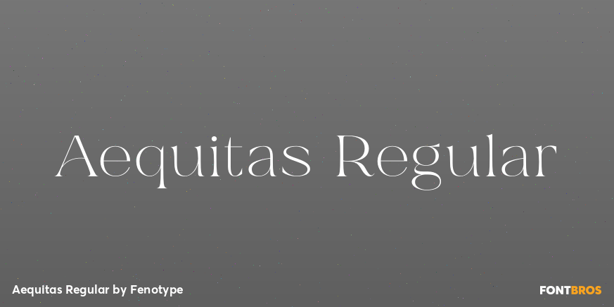 Aequitas Regular Font Poster #1