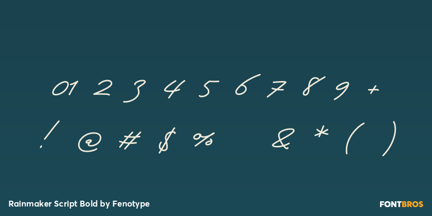 Rainmaker Script Bold Font Poster #4