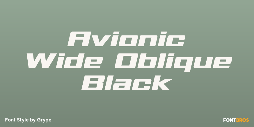 Avionic Wide Oblique Black Poster