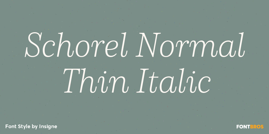 Schorel Normal Thin Italic Poster