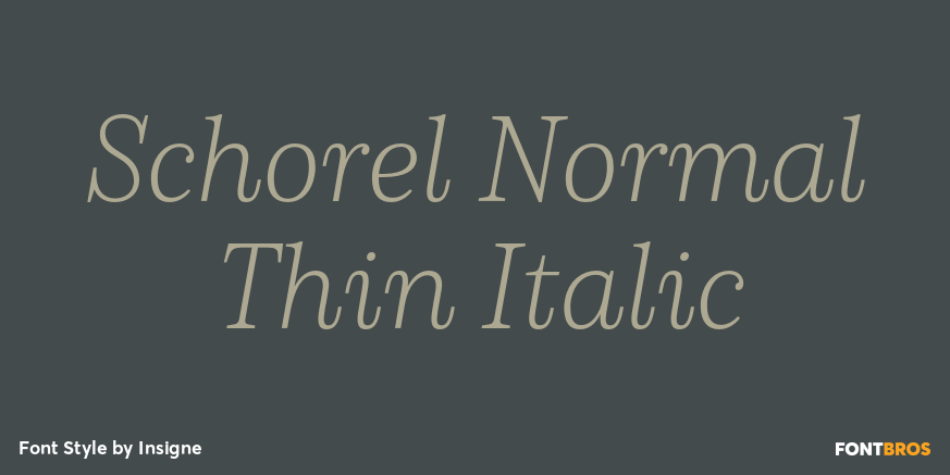 Schorel Normal Thin Italic Poster