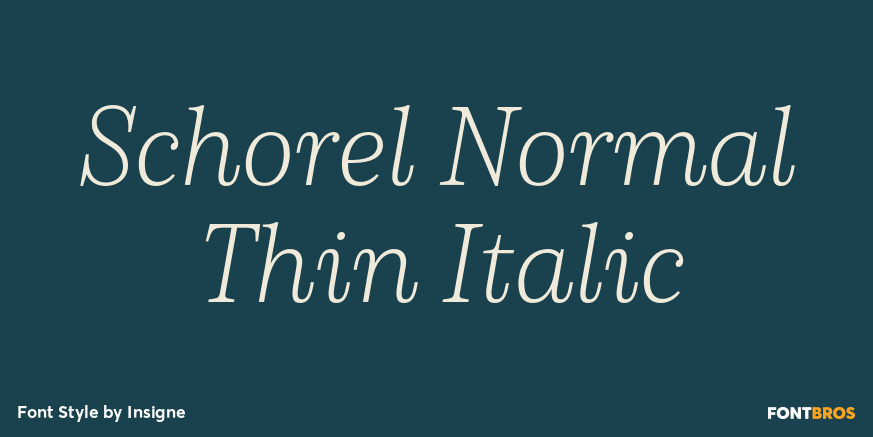 Schorel Normal Thin Italic Poster