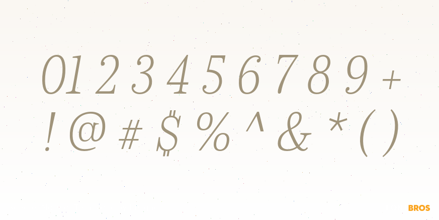 Schorel Normal Thin Italic Font Poster #1