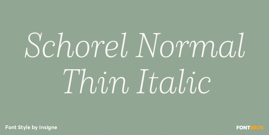 Schorel Normal Thin Italic Poster