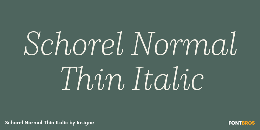 Schorel Normal Thin Italic Poster