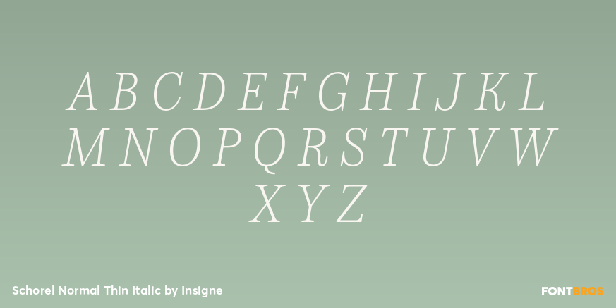 Schorel Normal Thin Italic Font Poster #2