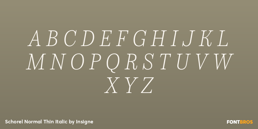 Schorel Normal Thin Italic Font Poster #1