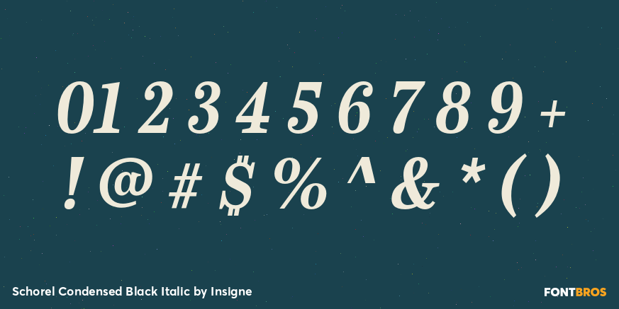 Schorel Condensed Black Italic Font Poster #4