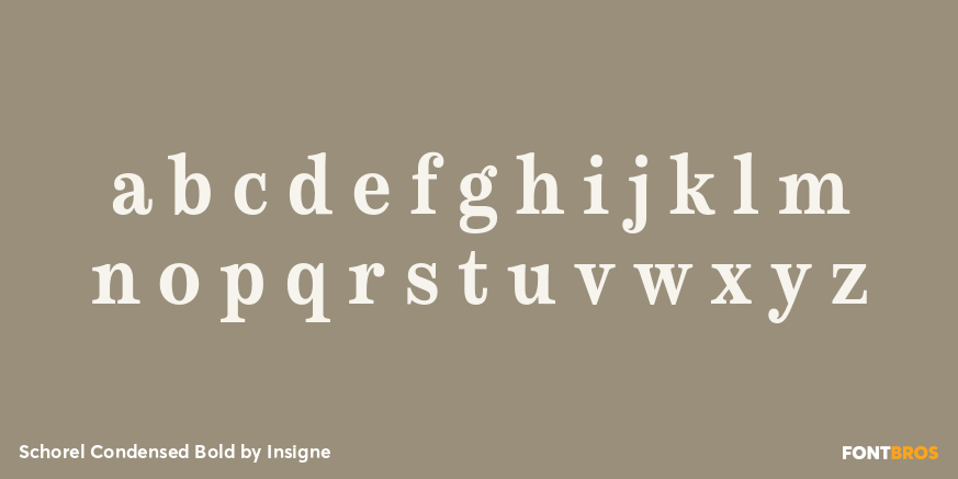 Schorel Condensed Bold Font Poster #3