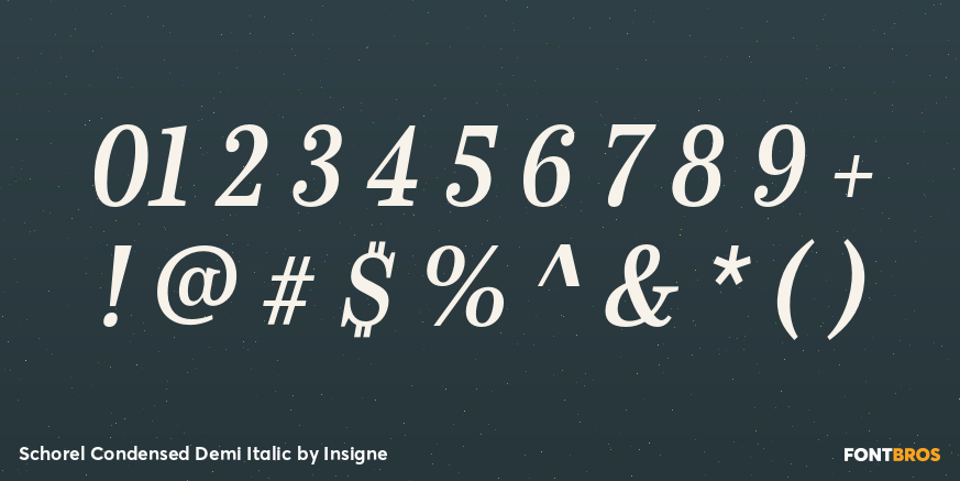 Schorel Condensed Demi Italic Font Poster #4