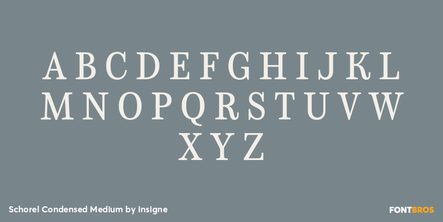 Schorel Condensed Medium Font Poster #2