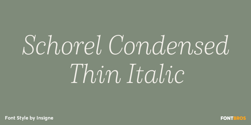 Schorel Condensed Thin Italic Poster