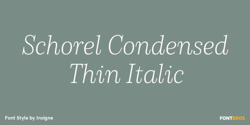 Schorel Condensed Thin Italic Poster