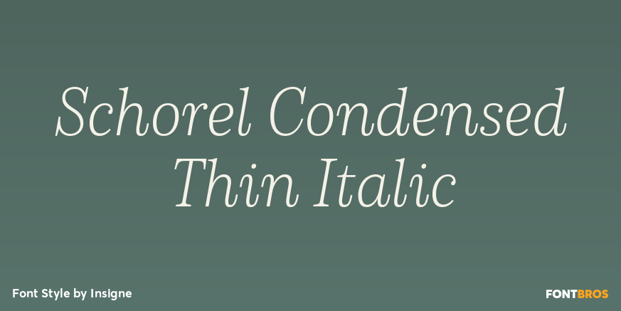 Schorel Condensed Thin Italic Poster
