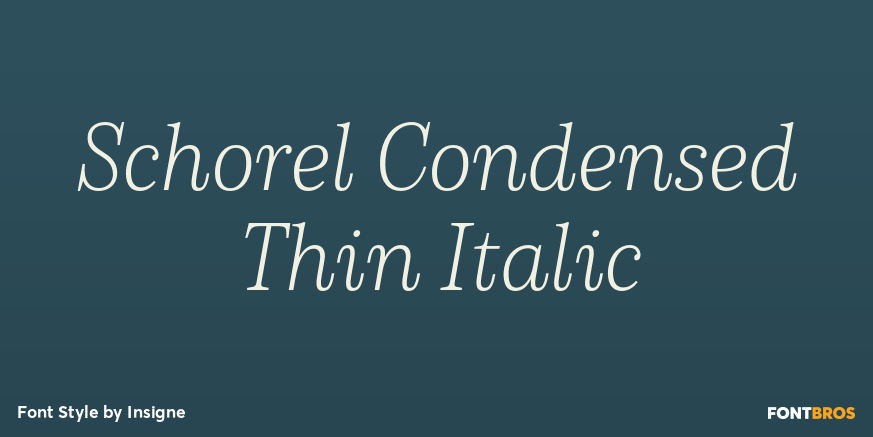 Schorel Condensed Thin Italic Poster