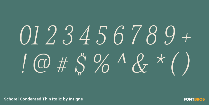 Schorel Condensed Thin Italic Font Poster #1