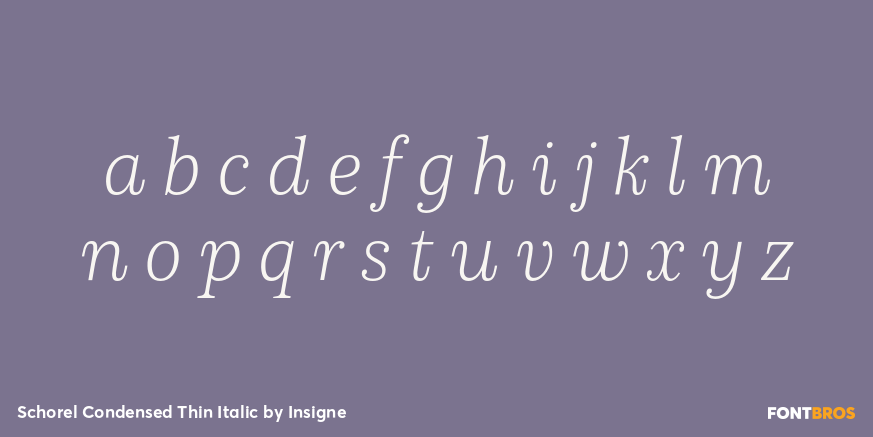 Schorel Condensed Thin Italic Font Poster #3