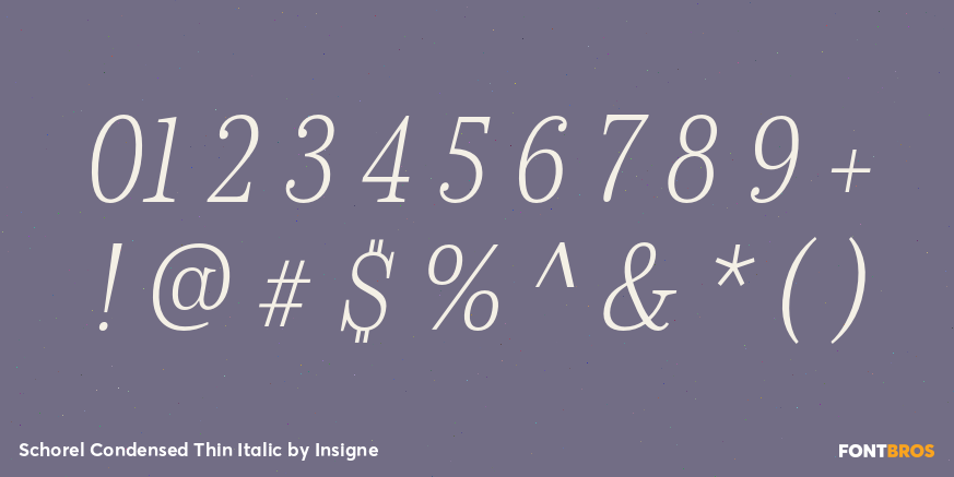 Schorel Condensed Thin Italic Font Poster #4