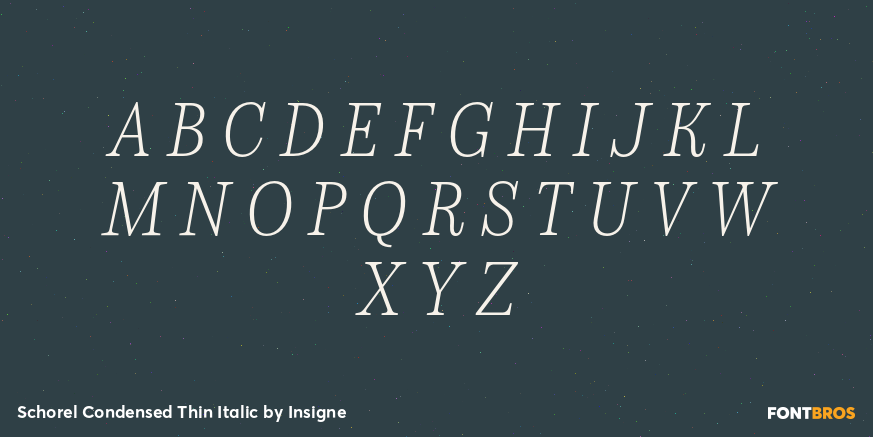 Schorel Condensed Thin Italic Font Poster #1
