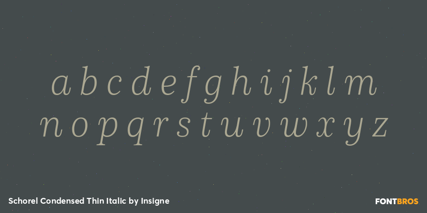 Schorel Condensed Thin Italic Font Poster #1