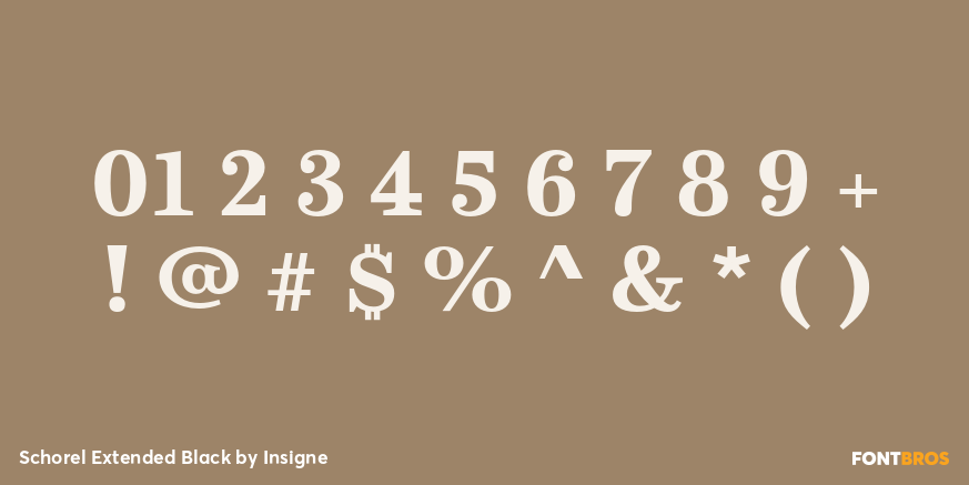 Schorel Extended Black Font Poster #1