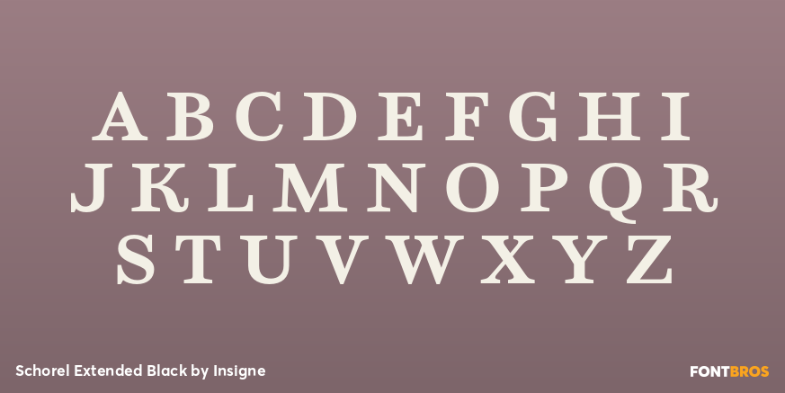 Schorel Extended Black Font Poster #1