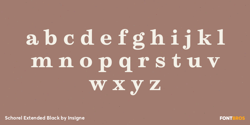 Schorel Extended Black Font Poster #1