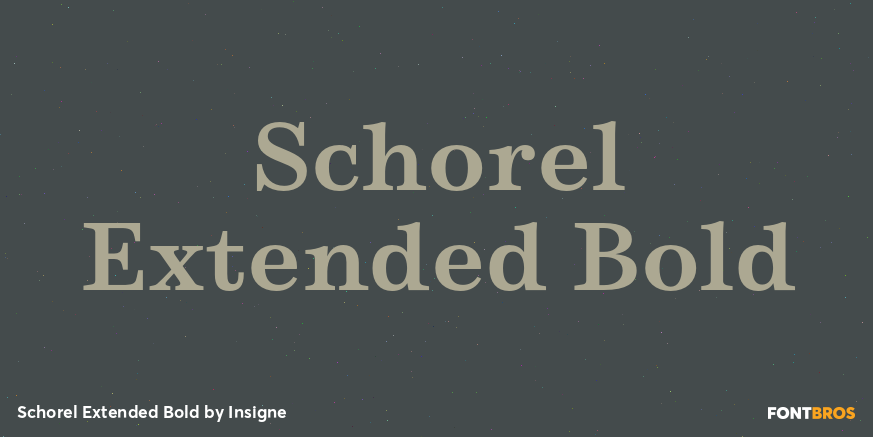 Schorel Extended Bold Font Poster #1