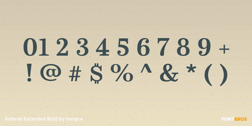 Schorel Extended Bold Font Poster #4