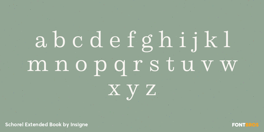 Schorel Extended Book Font Poster #3