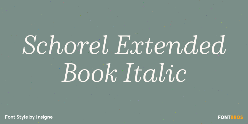 Schorel Extended Book Italic Poster