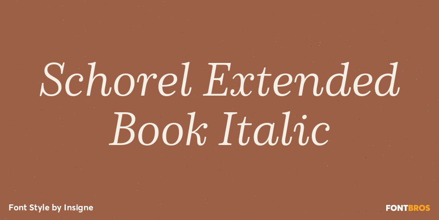 Schorel Extended Book Italic Poster