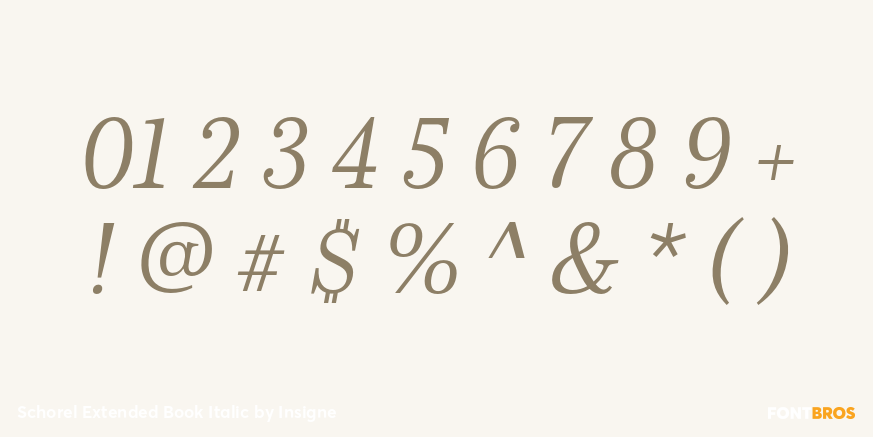 Schorel Extended Book Italic Font Poster #1
