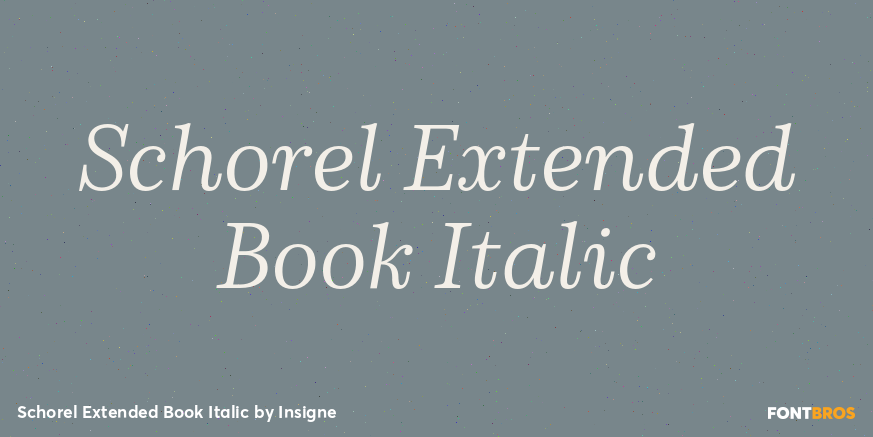 Schorel Extended Book Italic Poster