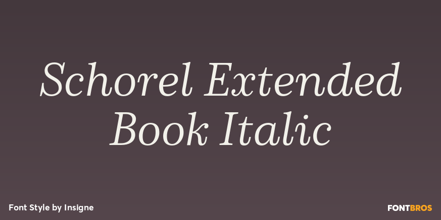 Schorel Extended Book Italic Poster