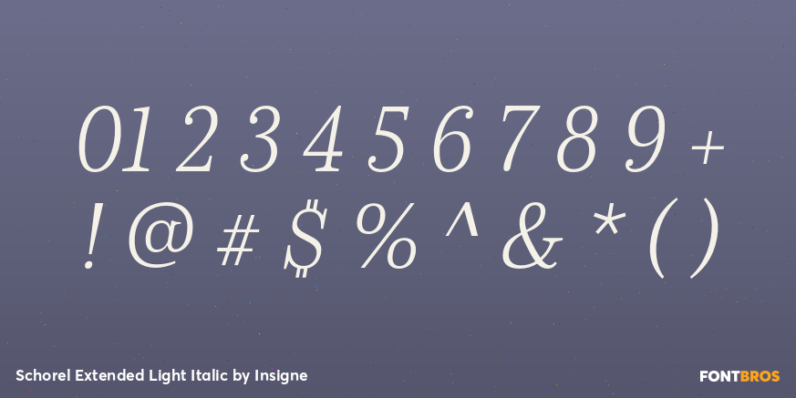 Schorel Extended Light Italic Font Poster #1