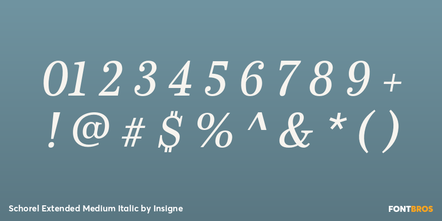 Schorel Extended Medium Italic Font Poster #4