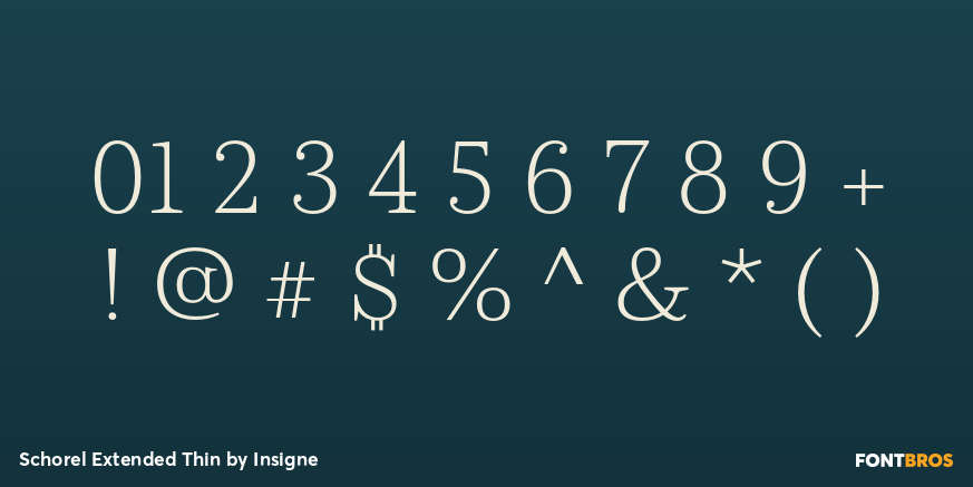 Schorel Extended Thin Font Poster #1
