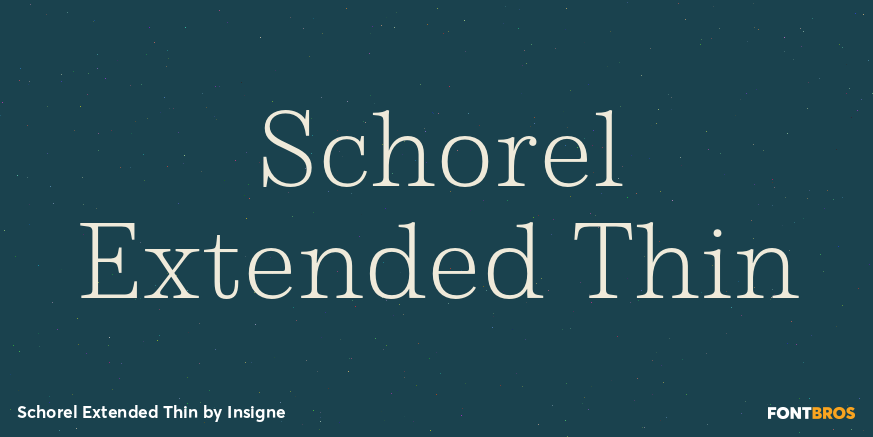 Schorel Extended Thin Font Poster #1