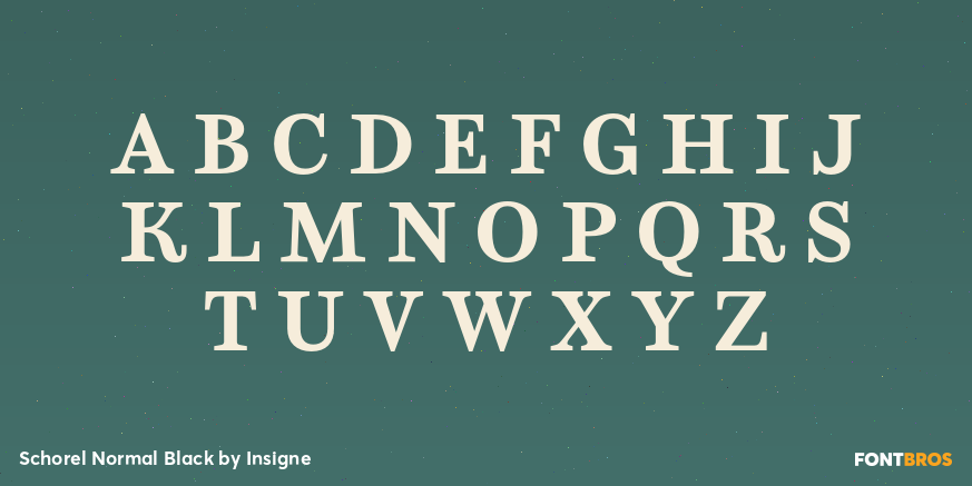 Schorel Normal Black Font Poster #2