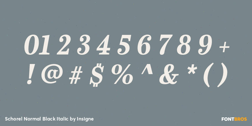 Schorel Normal Black Italic Font Poster #4