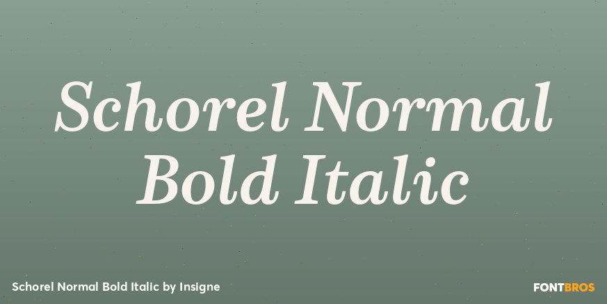 Schorel Normal Bold Italic Font Poster #1